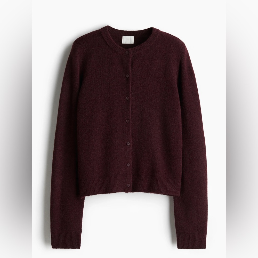 H&M Deep Burgundy Cardigan Sweater